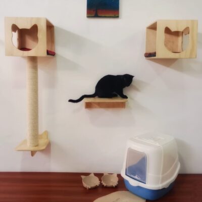 Set refugio felino en las alturas