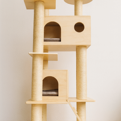 Gimnasio élite cod 26