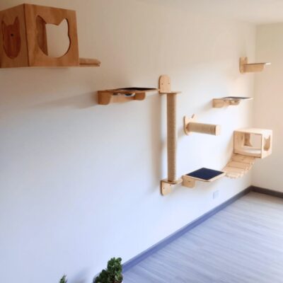 set penthouse